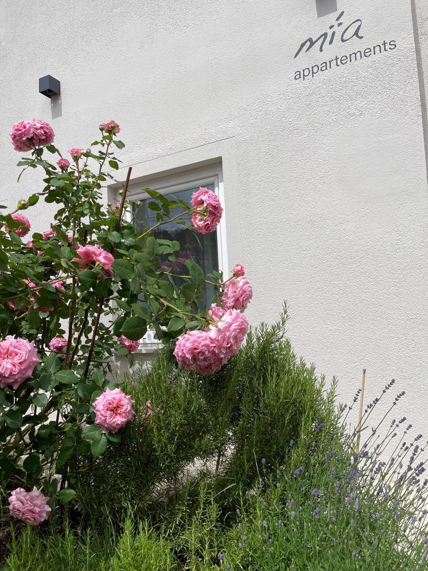 Mia Appartements インスブルック エクステリア 写真